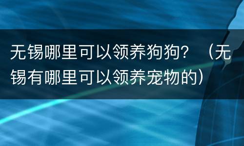 无锡哪里可以领养狗狗？（无锡有哪里可以领养宠物的）