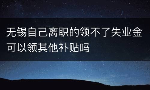 无锡自己离职的领不了失业金可以领其他补贴吗