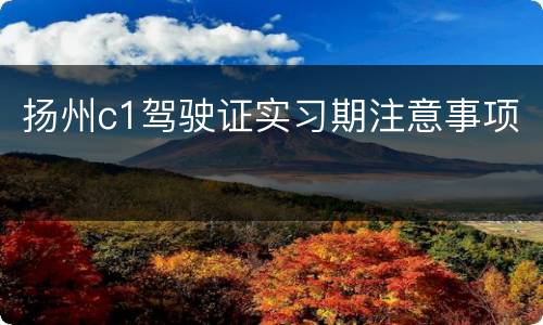 扬州c1驾驶证实习期注意事项