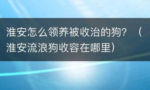 淮安怎么领养被收治的狗？（淮安流浪狗收容在哪里）