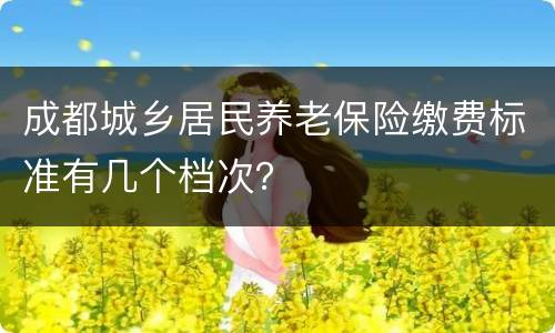 成都城乡居民养老保险缴费标准有几个档次？