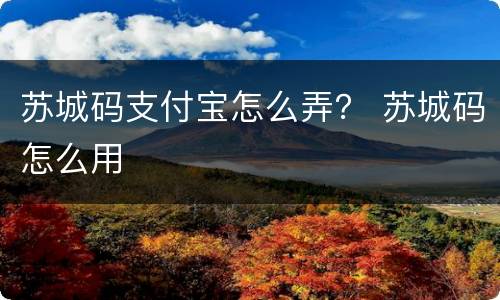 苏城码支付宝怎么弄？ 苏城码怎么用