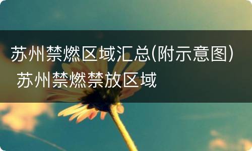 苏州禁燃区域汇总(附示意图) 苏州禁燃禁放区域