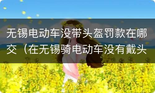 无锡电动车没带头盔罚款在哪交（在无锡骑电动车没有戴头盔怎么交罚款）