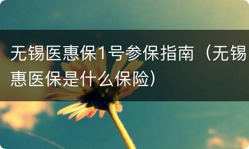无锡医惠保1号参保指南（无锡惠医保是什么保险）