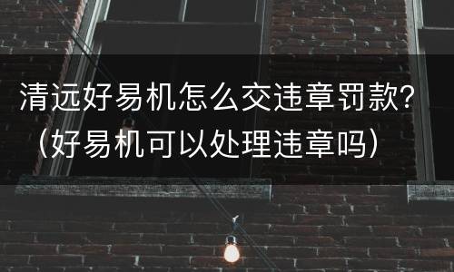 清远好易机怎么交违章罚款？（好易机可以处理违章吗）