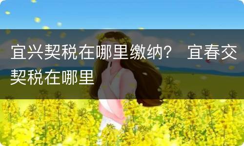 宜兴契税在哪里缴纳？ 宜春交契税在哪里