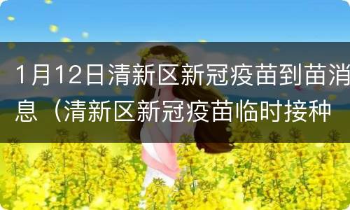 1月12日清新区新冠疫苗到苗消息（清新区新冠疫苗临时接种点）