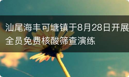 汕尾海丰可塘镇于8月28日开展全员免费核酸筛查演练