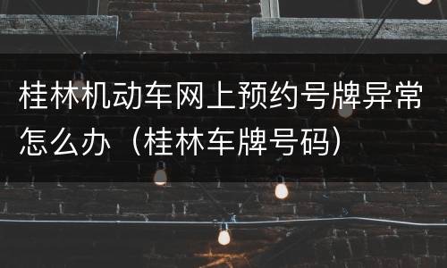 桂林机动车网上预约号牌异常怎么办（桂林车牌号码）
