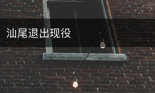 汕尾退出现役