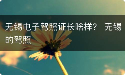 无锡电子驾照证长啥样？ 无锡的驾照