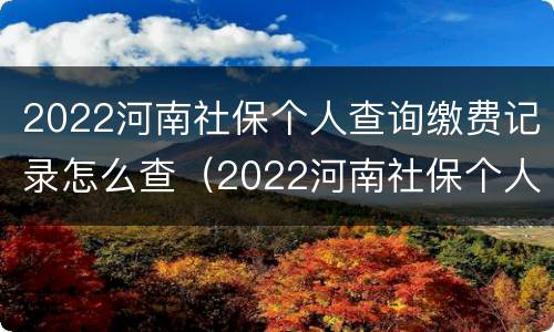 2022河南社保个人查询缴费记录怎么查（2022河南社保个人查询缴费记录怎么查不到）