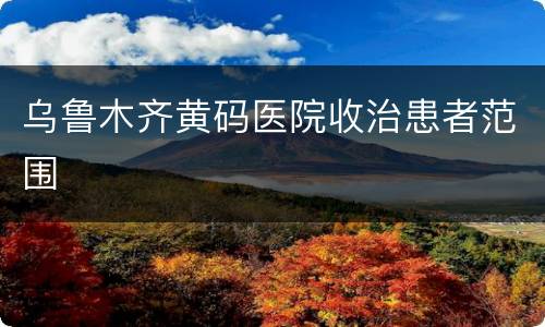 乌鲁木齐黄码医院收治患者范围