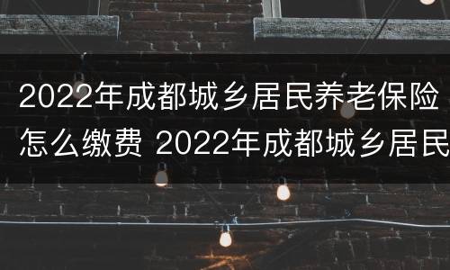 2022年成都城乡居民养老保险怎么缴费 2022年成都城乡居民养老保险怎么缴费的
