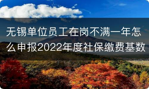 无锡单位员工在岗不满一年怎么申报2022年度社保缴费基数？