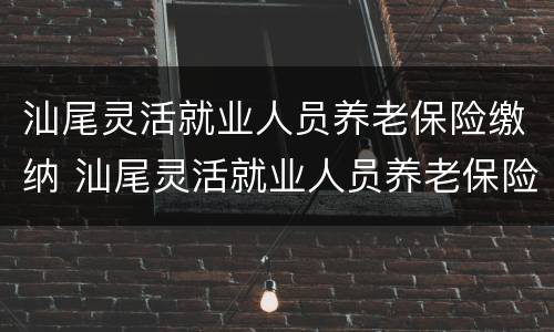 汕尾灵活就业人员养老保险缴纳 汕尾灵活就业人员养老保险缴纳比例