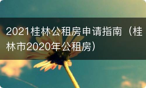 2021桂林公租房申请指南（桂林市2020年公租房）