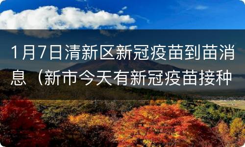 1月7日清新区新冠疫苗到苗消息（新市今天有新冠疫苗接种）