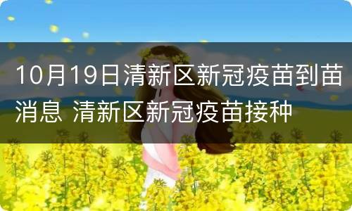 10月19日清新区新冠疫苗到苗消息 清新区新冠疫苗接种