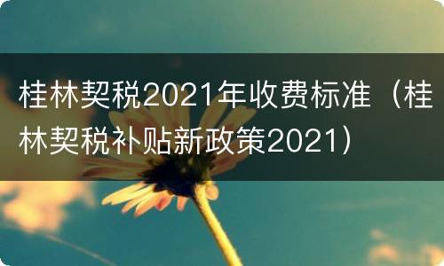 桂林契税2021年收费标准（桂林契税补贴新政策2021）