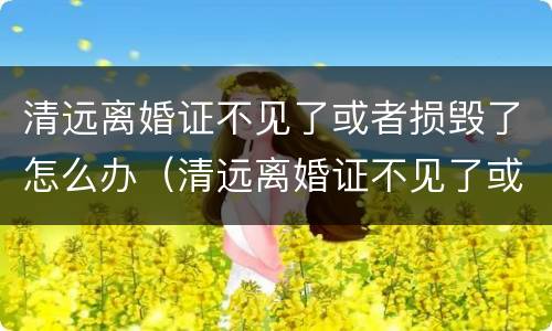 清远离婚证不见了或者损毁了怎么办（清远离婚证不见了或者损毁了怎么办理）