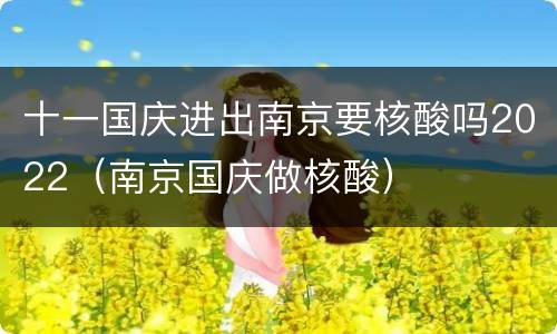 十一国庆进出南京要核酸吗2022（南京国庆做核酸）