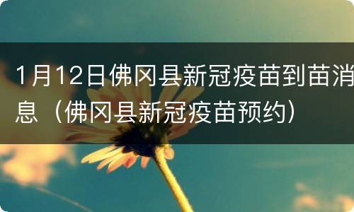 1月12日佛冈县新冠疫苗到苗消息（佛冈县新冠疫苗预约）