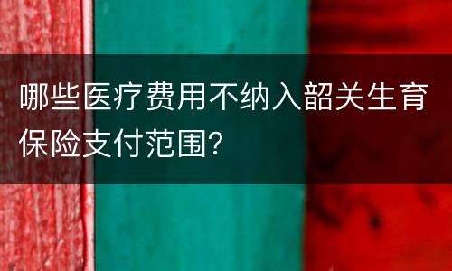 哪些医疗费用不纳入韶关生育保险支付范围？