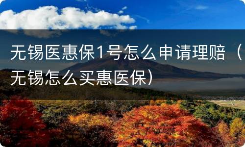 无锡医惠保1号怎么申请理赔（无锡怎么买惠医保）