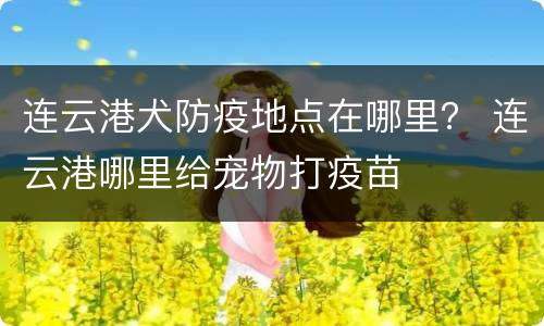 连云港犬防疫地点在哪里？ 连云港哪里给宠物打疫苗