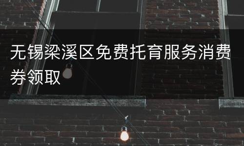 无锡梁溪区免费托育服务消费券领取