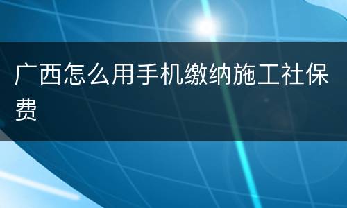 广西怎么用手机缴纳施工社保费