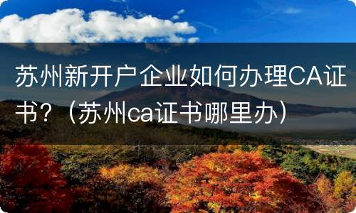 苏州新开户企业如何办理CA证书?（苏州ca证书哪里办）