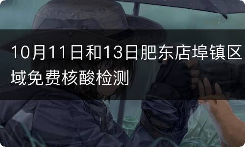 10月11日和13日肥东店埠镇区域免费核酸检测