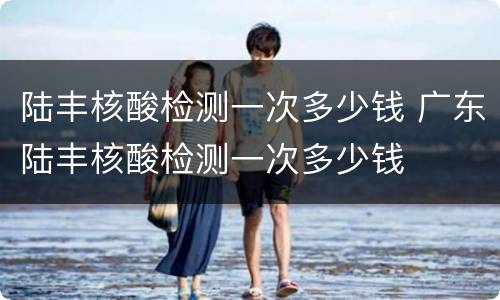 陆丰核酸检测一次多少钱 广东陆丰核酸检测一次多少钱