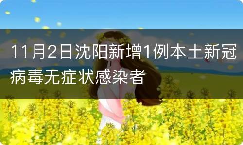 11月2日沈阳新增1例本土新冠病毒无症状感染者