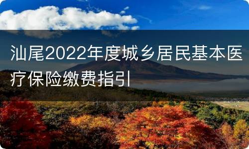 汕尾2022年度城乡居民基本医疗保险缴费指引