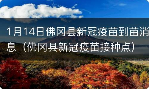 1月14日佛冈县新冠疫苗到苗消息（佛冈县新冠疫苗接种点）