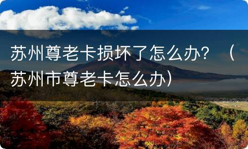 苏州尊老卡损坏了怎么办？（苏州市尊老卡怎么办）