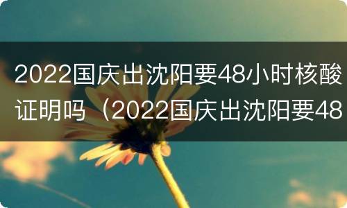 2022国庆出沈阳要48小时核酸证明吗（2022国庆出沈阳要48小时核酸证明吗现在）