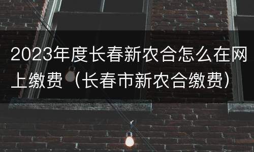 2023年度长春新农合怎么在网上缴费（长春市新农合缴费）