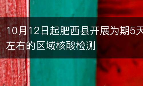 10月12日起肥西县开展为期5天左右的区域核酸检测