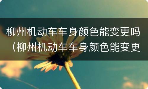 柳州机动车车身颜色能变更吗（柳州机动车车身颜色能变更吗现在）