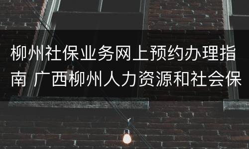 柳州社保业务网上预约办理指南 广西柳州人力资源和社会保障局报名入口