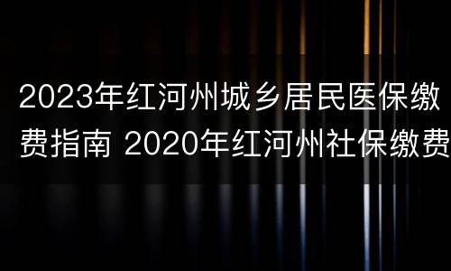 2023年红河州城乡居民医保缴费指南 2020年红河州社保缴费标准
