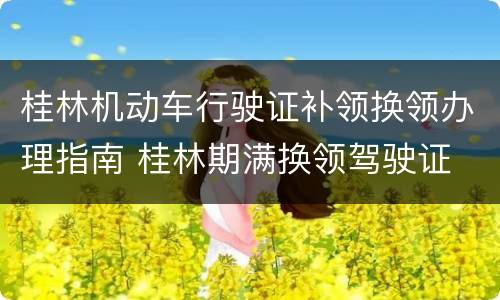 桂林机动车行驶证补领换领办理指南 桂林期满换领驾驶证