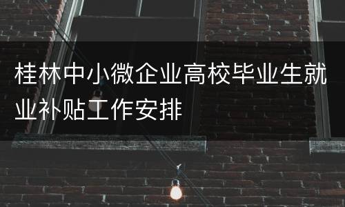 桂林中小微企业高校毕业生就业补贴工作安排