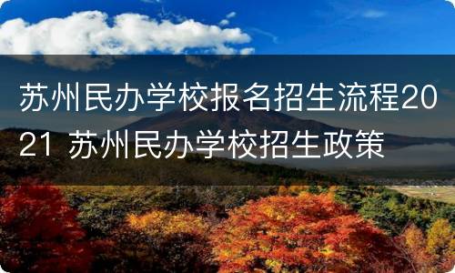 苏州民办学校报名招生流程2021 苏州民办学校招生政策