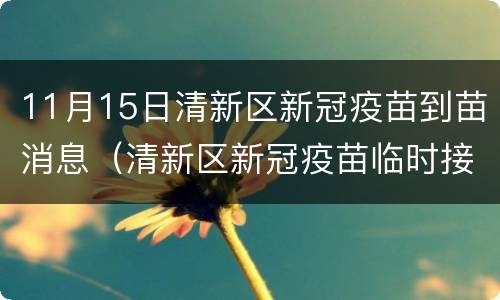 11月15日清新区新冠疫苗到苗消息（清新区新冠疫苗临时接种点）